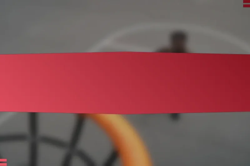 ডাচ বাস্কেটবল খেলোয়াড়ের পারফরম্যান্স মেট্রিক্সের বিশ্লেষণ