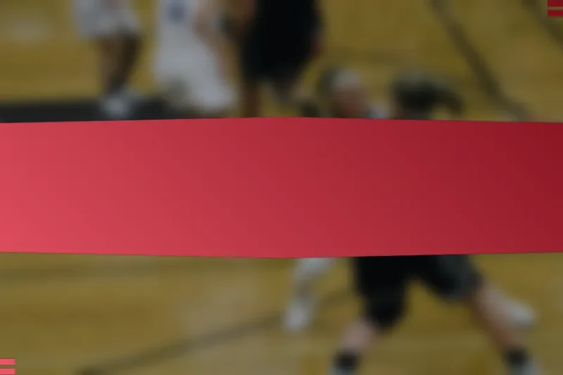 ফরাসি বাস্কেটবল খেলোয়াড়ের পারফরম্যান্স বিশ্লেষণের জন্য ব্যাপক চেকলিস্ট