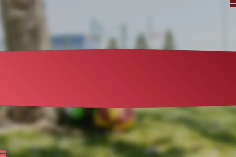 পোলিশ বাস্কেটবল খেলোয়াড়ের পরিসংখ্যান মূল্যায়নের জন্য ব্যাপক চেকলিস্ট