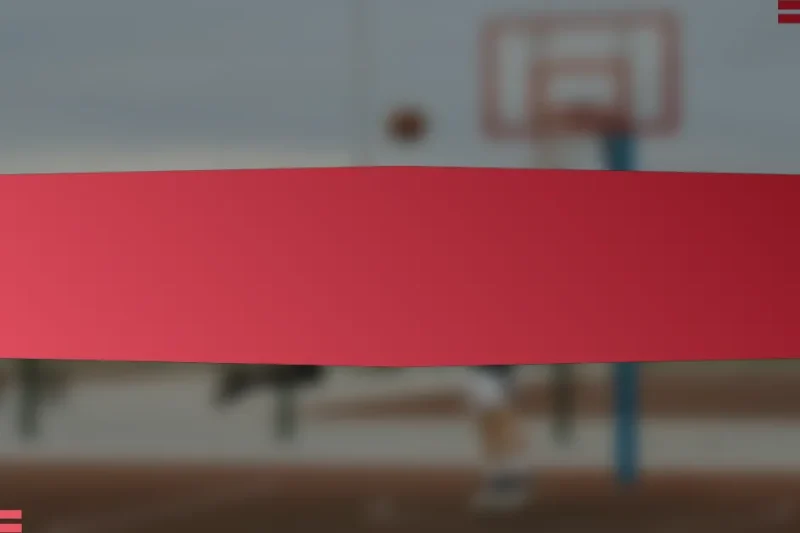 পোর্তুগালে বাস্কেটবল খেলোয়াড়ের ডেটা বিশ্লেষণের জন্য ব্যাপক চেকলিস্ট