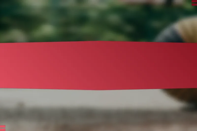 রুশ বাস্কেটবল খেলোয়াড়দের ঐতিহাসিক পারফরম্যান্স প্রবণতার বিশ্লেষণ